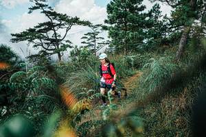 BIB: 
                            <button type="button" onclick="openModal(25259385)" class="btn btn-primary btn-sm float-right btn-popup" data-toggle="modal" data-target=".modal-high-quality">
                        <i class="fas fa-shopping-cart"></i> Add to Cart
                    </button>
                                            <button type="button" onclick="isThisMe(25259385, true)" class="btn btn-success btn-sm float-right btn-popup btn-isme hidden" data-toggle="tooltip" data-placement="bottom" title="นี่คือรูปของคุณใช่ไหม คลิกที่นี่เพื่อเอาเข้าอัลบั้ม">
                        <i class="fas fa-plus"></i> Add to album
                    </button>
                    <button type="button" onclick="isThisMe(25259385, false)" class="btn btn-warning btn-sm float-right btn-popup btn-isnotme hidden">
                        <i class="fas fa-ban"></i> Remove from album
                    </button>